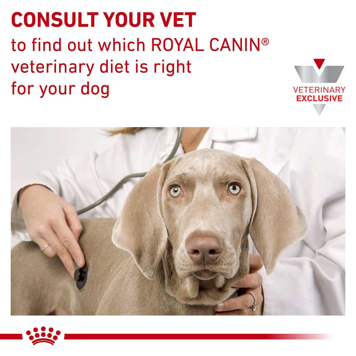 Hydrolyzed Protein Canned Dog Food V417700