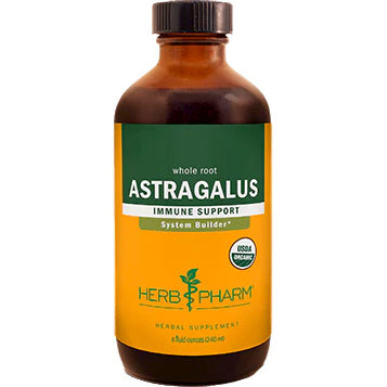 Astragalus S524673