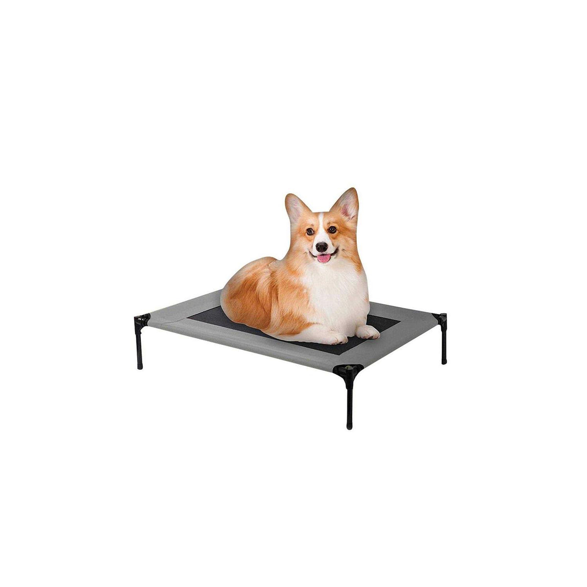 Cot Dog Bed O888801