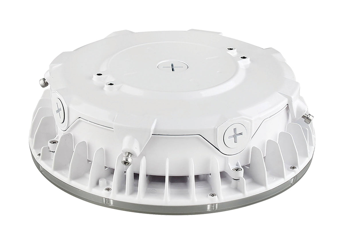 25W LED Canopy Light M296