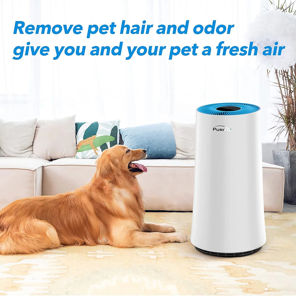 H13 True HEPA Air Purifier with Sleep Mode G354