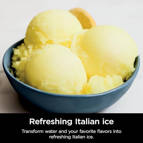 11-in-1 Ice Cream & Frozen Treat Maker with 2 XL Family Size Pint Containers, Silver E4651