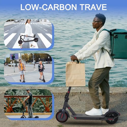 350W Electric Scooter with 8.5" Solid Tires R1588