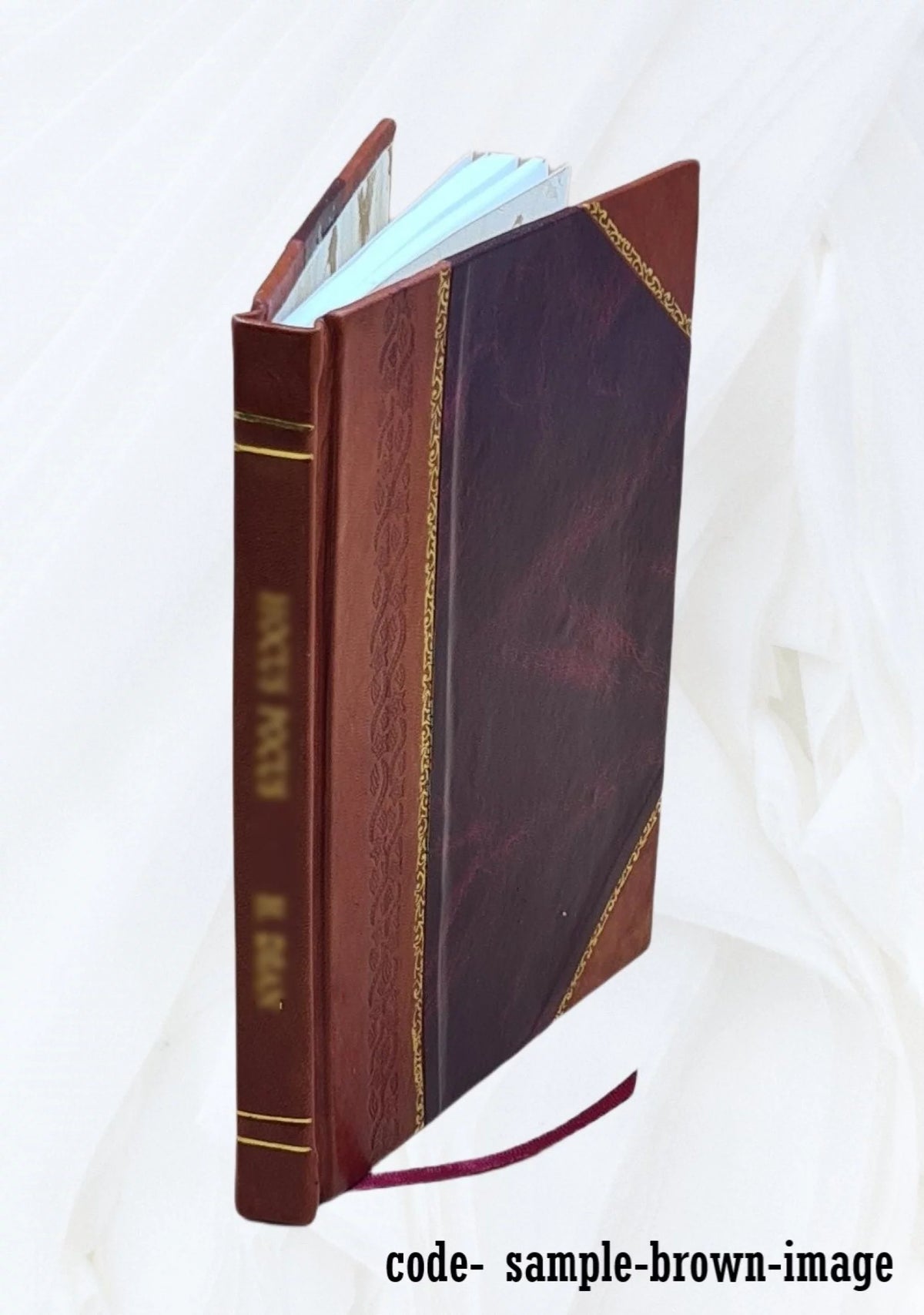 Leather Bound Z69838