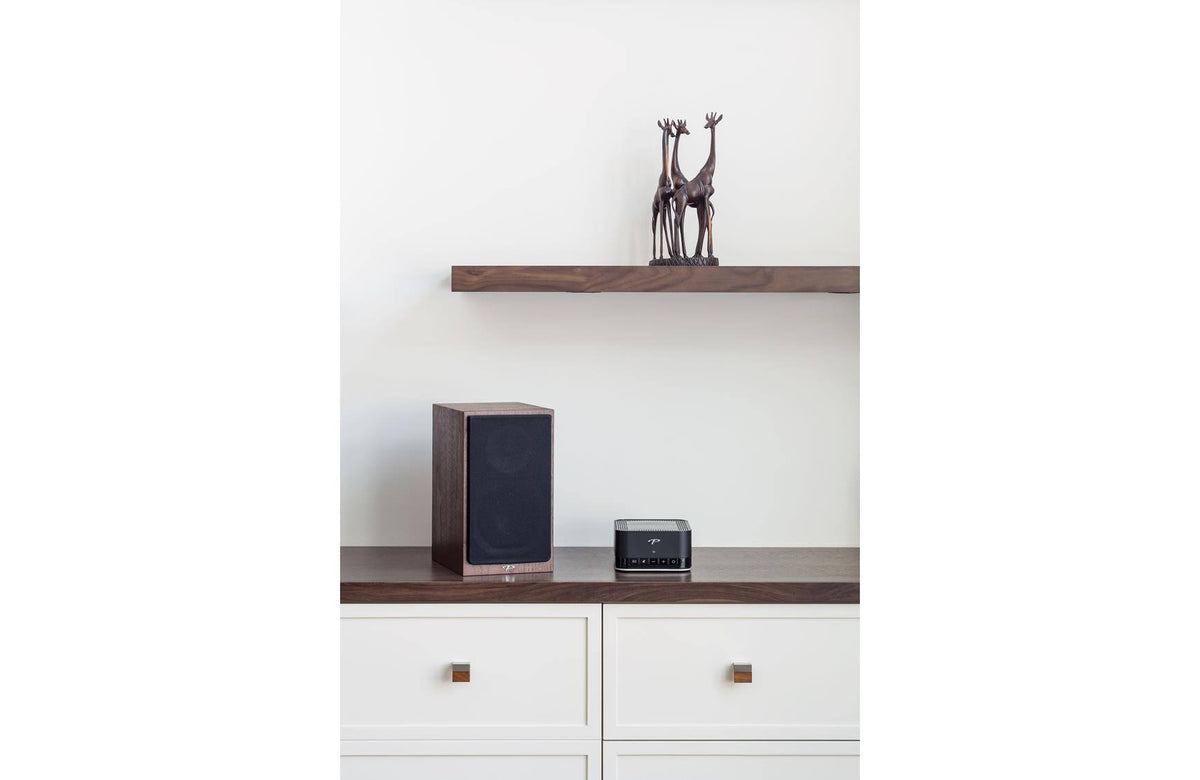 Black Premium Wireless 2-Channel Amplifier A2894