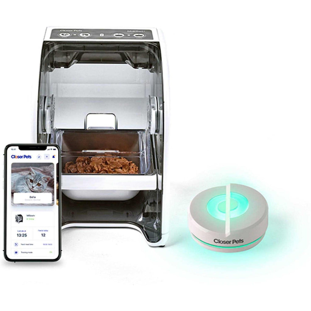 Automatic Microchip Small Dog & Cat Feeder Y8556