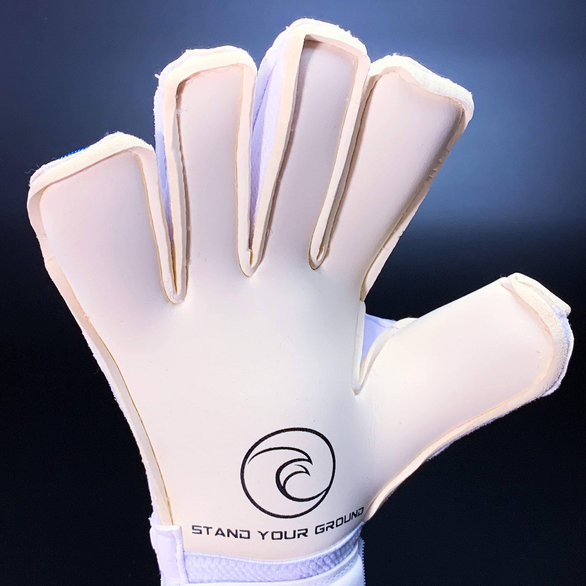 Goalkeeping X118678