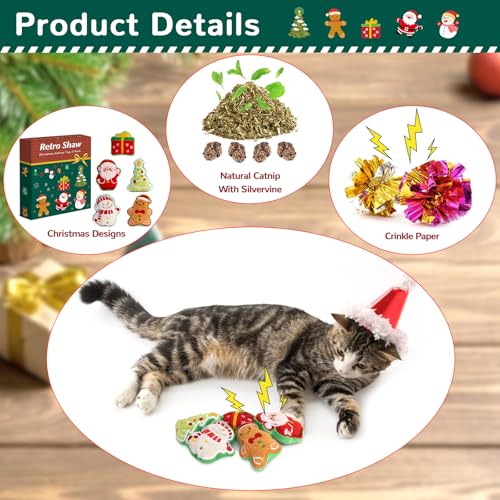 Catnip Cat Toys 5 Pack A45136