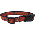 Collar J231164