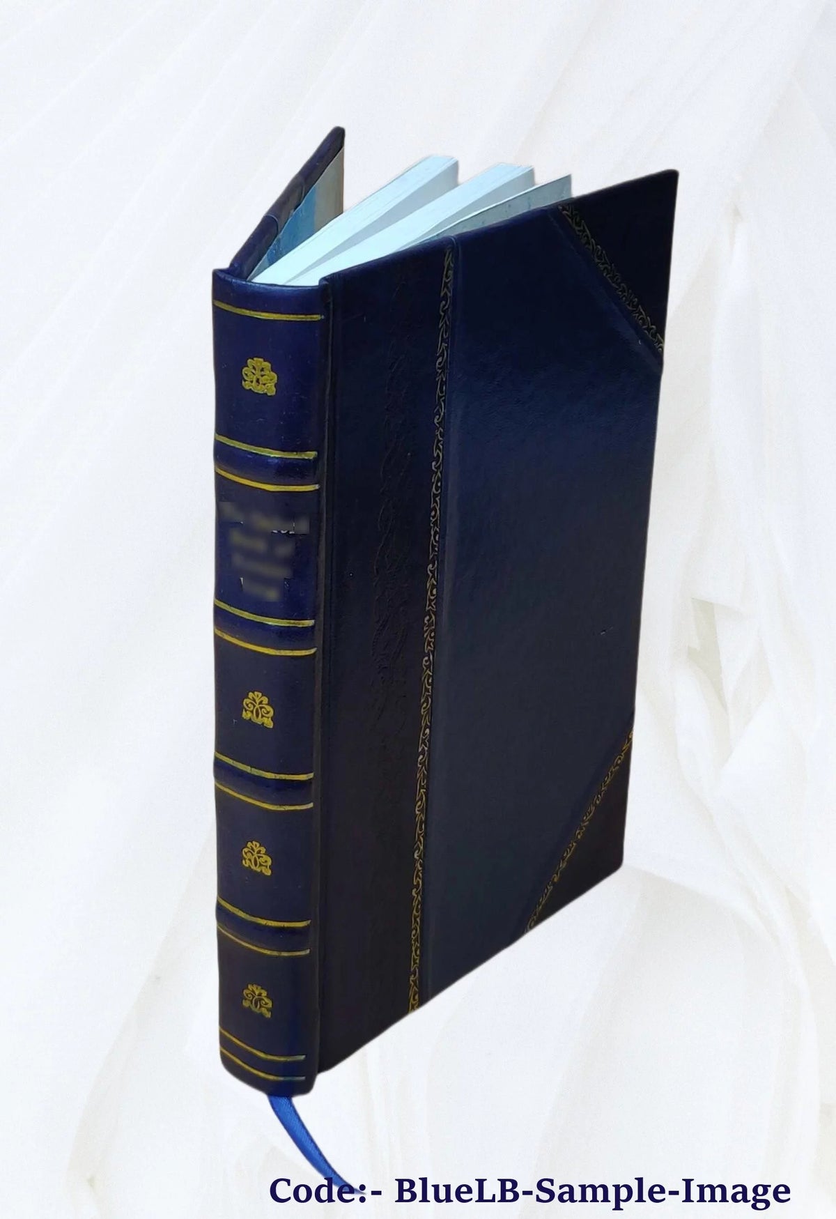 Fontainebleau Itinéraire de la forêt et des environs Leather Bound Z383277