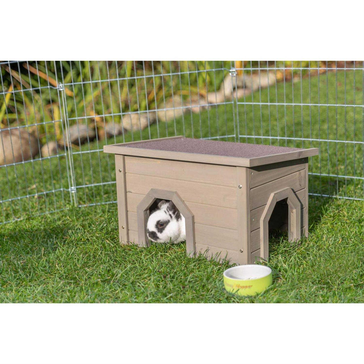 Small Animal House F2033