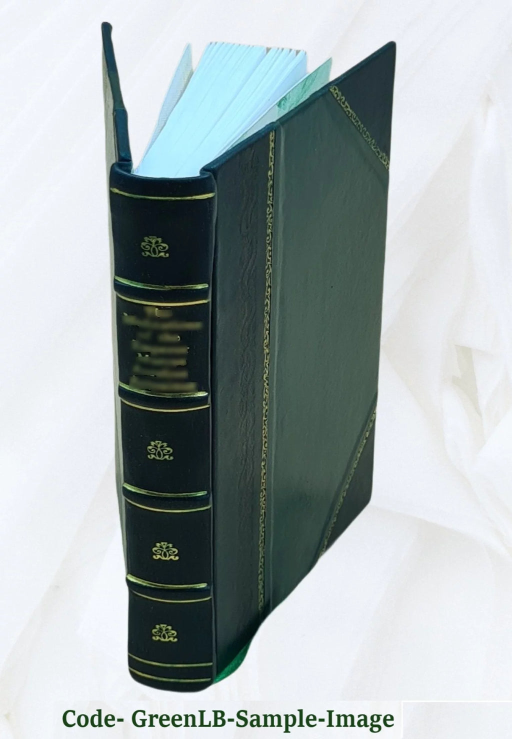 Fontainebleau Itinéraire de la forêt et des environs Leather Bound Z383277