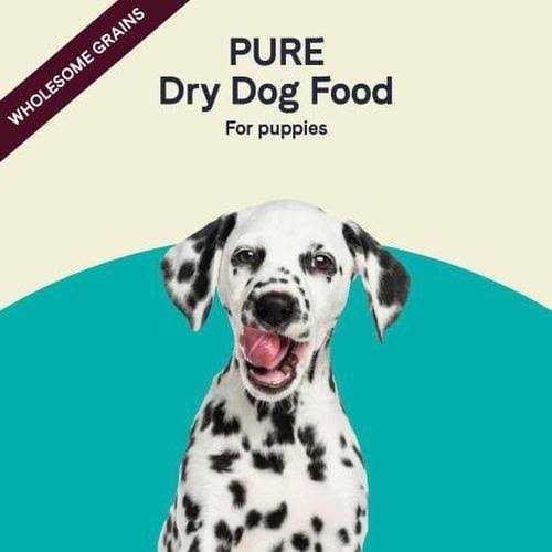 Salmon & Oatmeal Dry Dog Food D813