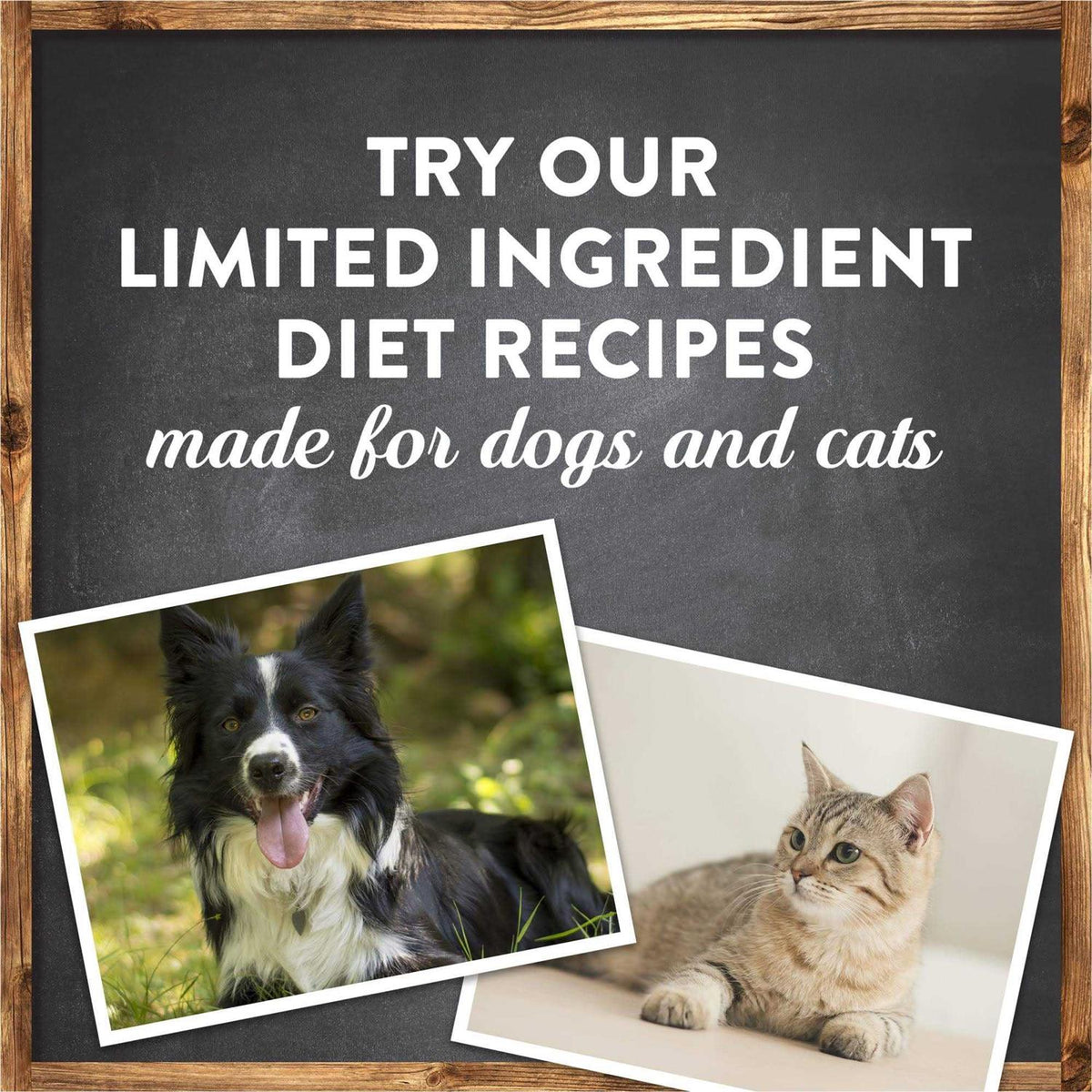 Chicken Recipe Dry Dog Food H496343