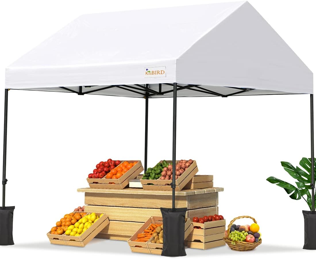 10'x10' Pop up Canopy Tent with 4 Sand Bags and Rolling Case H516