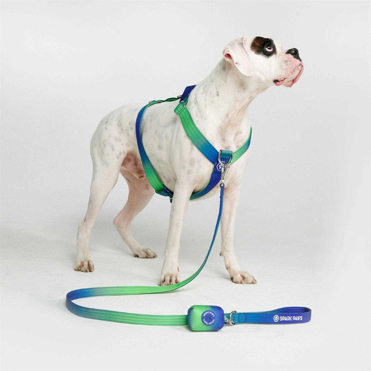 No-Pull Dog Harness X31279