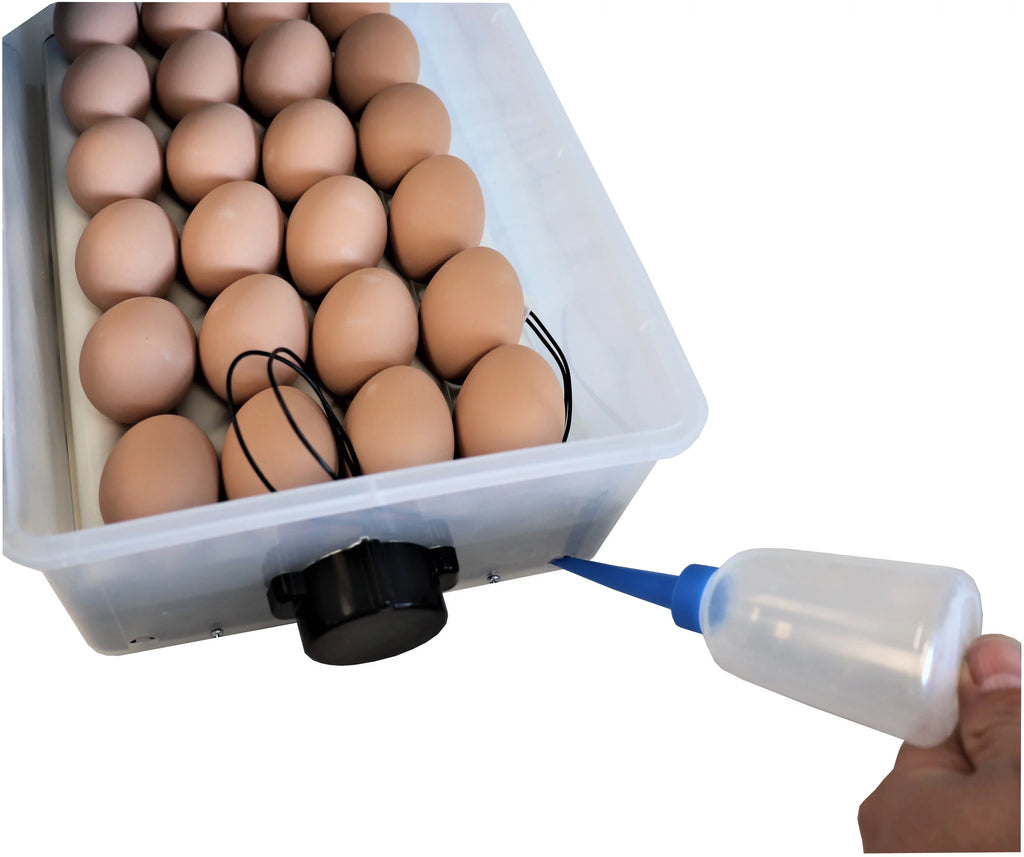 24 Chicken Egg Incubator & Hatcher Turner J3952