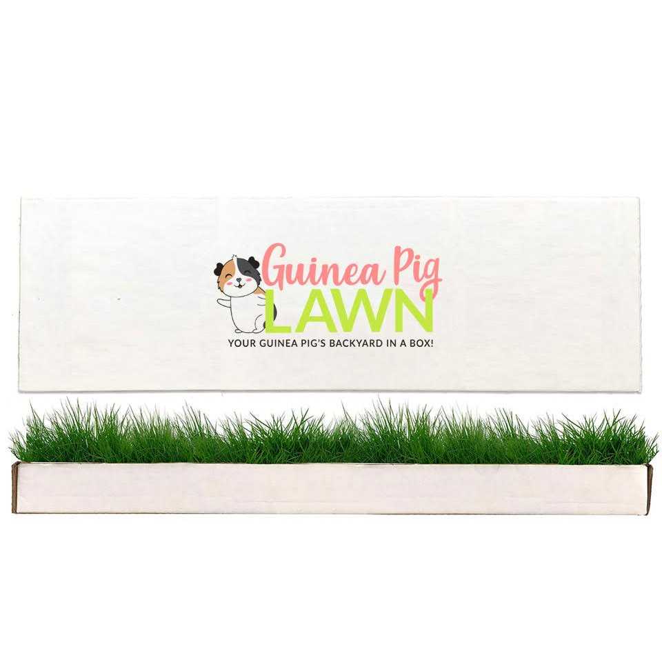 Pet Supplies P543298