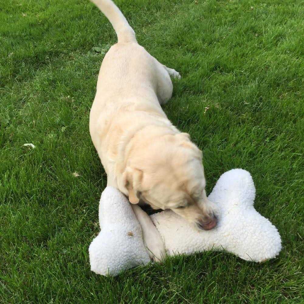 Pet Bone Pillow Toy R94703