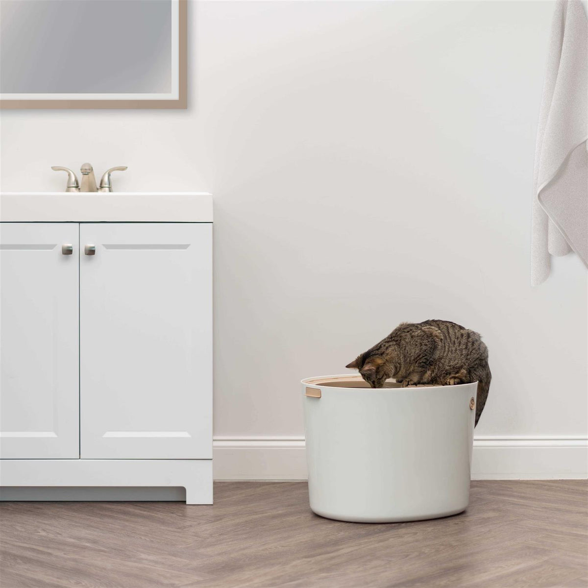 Top Entry Cat Litter Box with Scoop C647