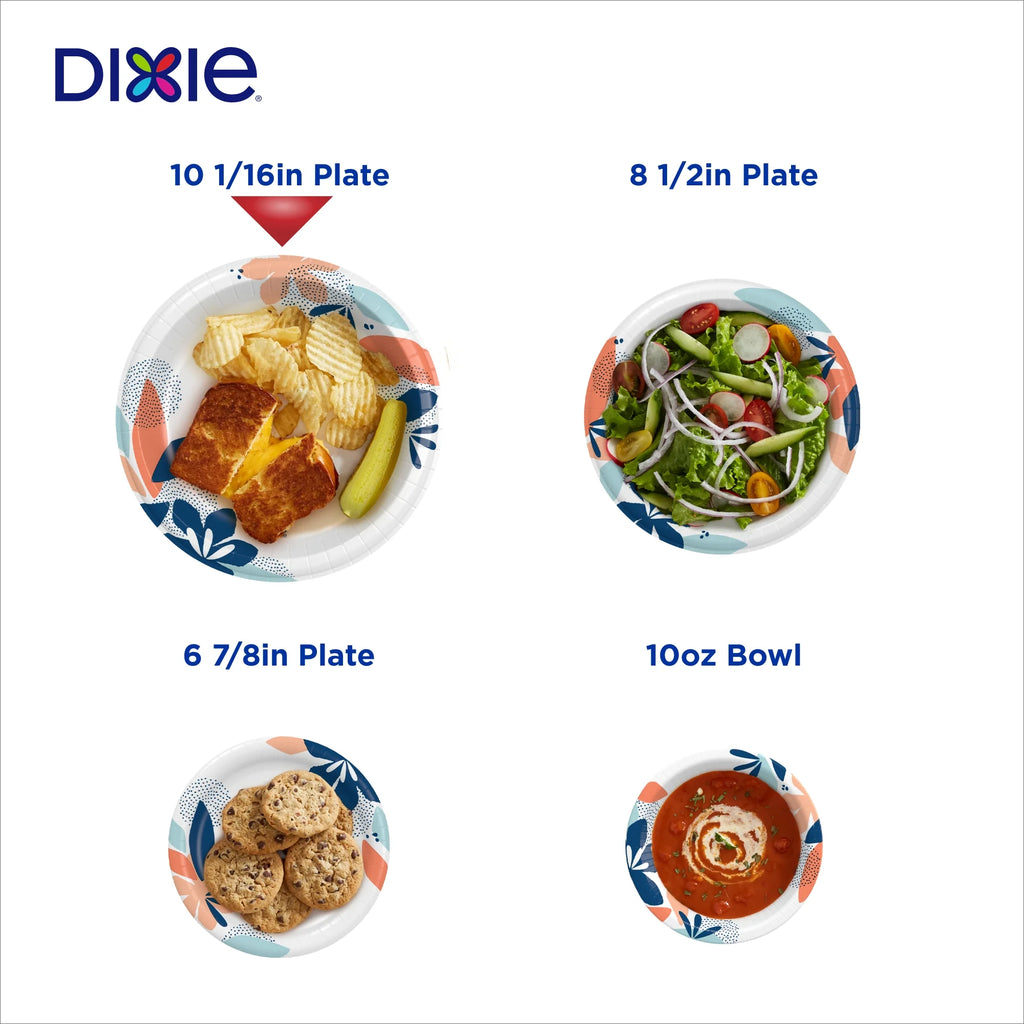Multicolor 10 in Disposable Paper Plates, 100 Count E55563