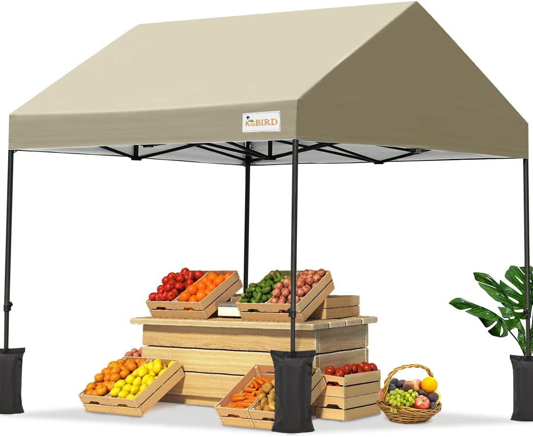 10'x10' Pop up Canopy Tent with 4 Sand Bags and Rolling Case H516