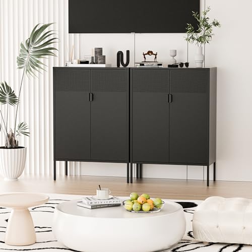 Black 2 Door Metal Storage Cabinet with Adjustable Shelf B2667