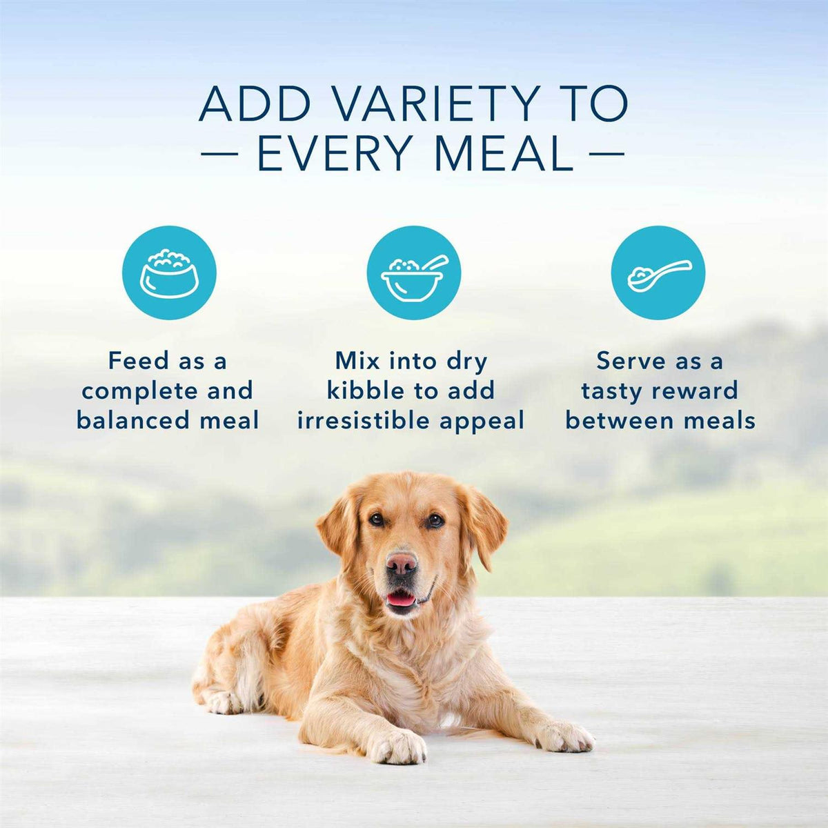 Dog Food N420