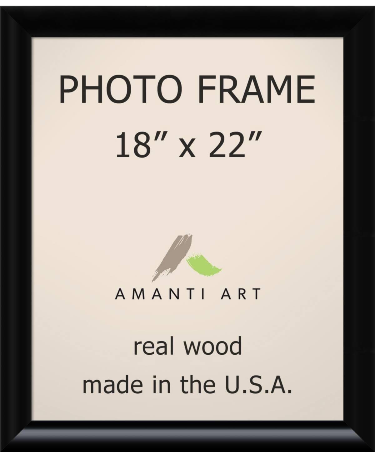 Black 18" x 22" Picture Frame Z67810