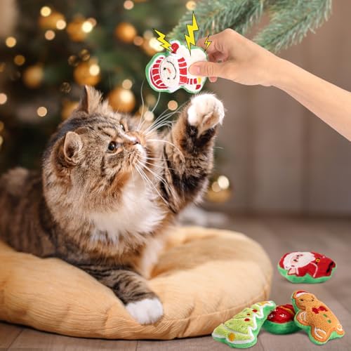 Catnip Cat Toys 5 Pack A45136