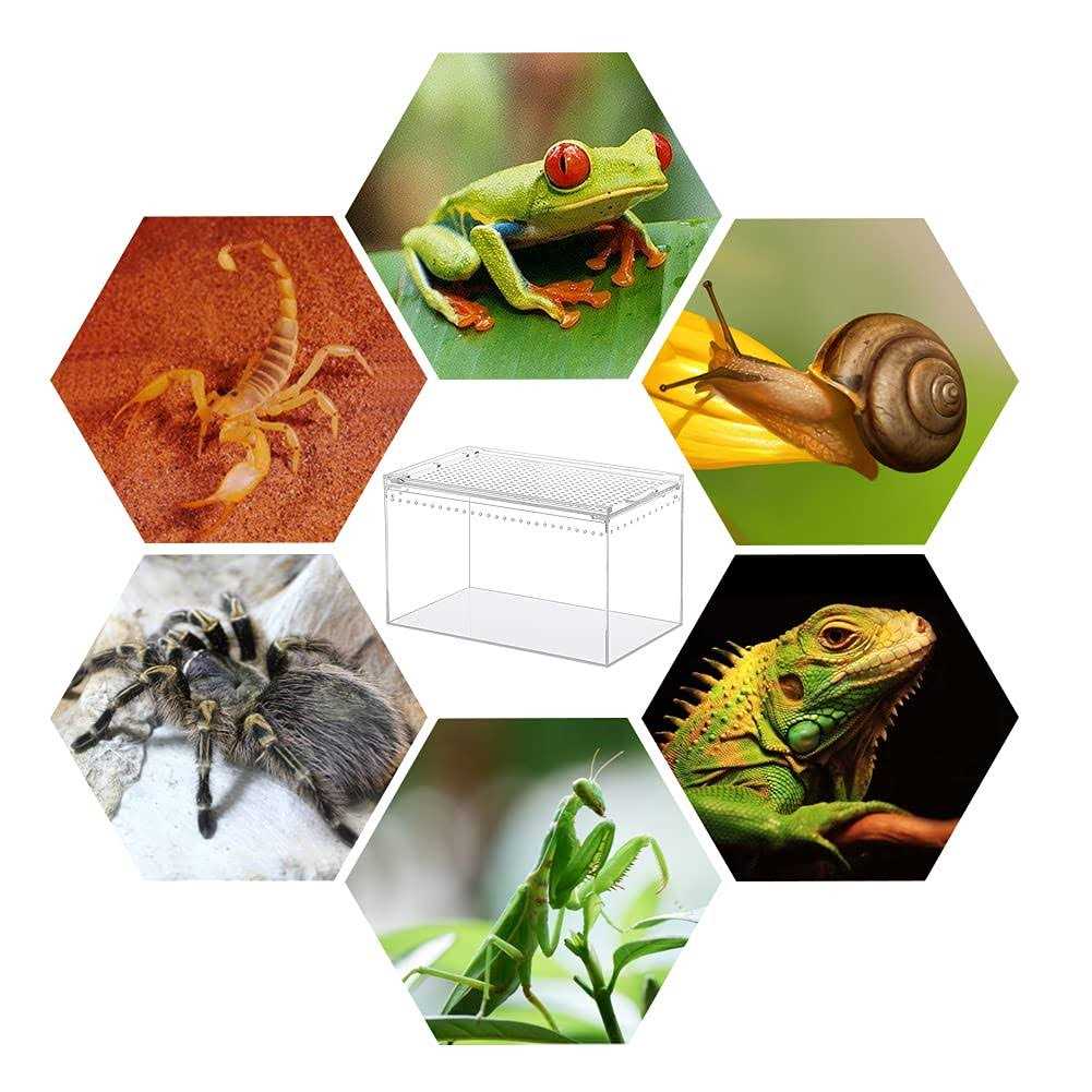 10x6x6 Inch Acrylic Reptile Terrarium Q60035