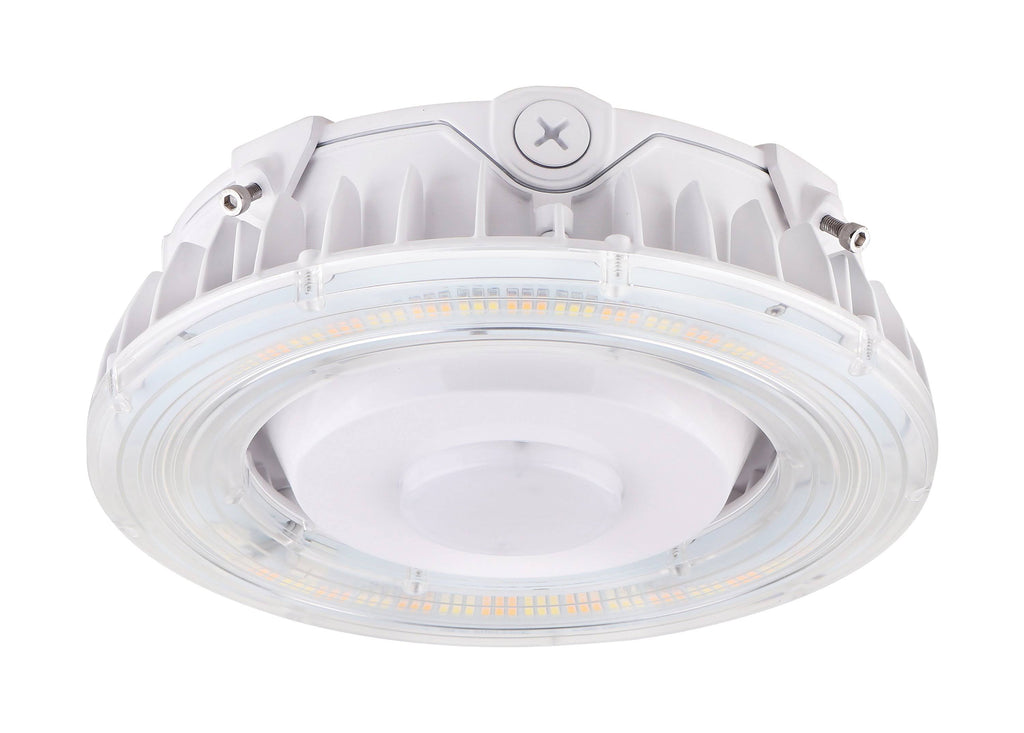 25W LED Canopy Light M296