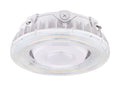 25W LED Canopy Light M296