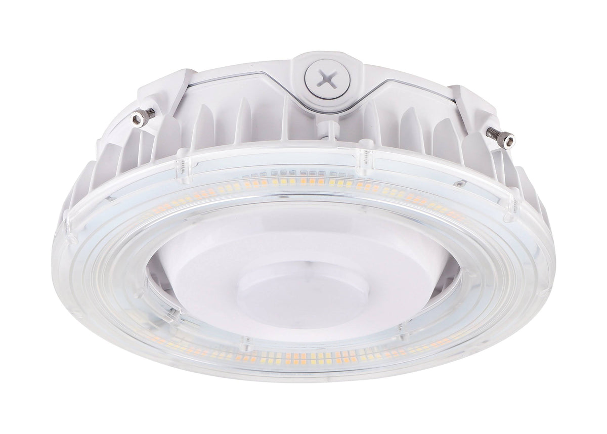 25W LED Canopy Light M296