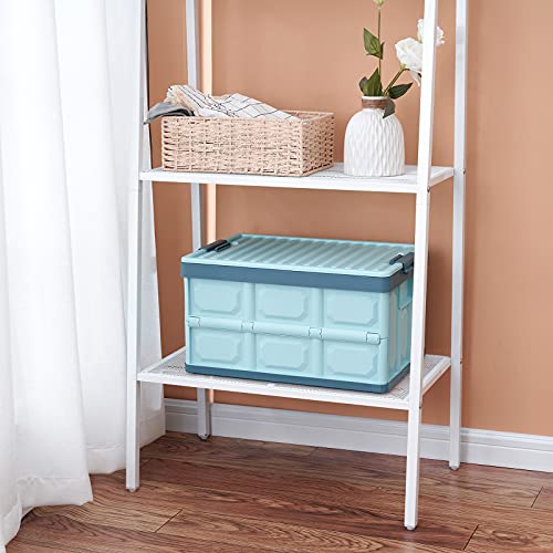 Collapsible Storage Bins with Lids 30L, Folding Plastic Stackable Utility Crates 2-Pack, Oyster White Q660569