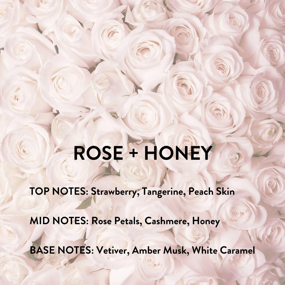 Rose + Honey Eau De Parfum Spray 3.4 oz N168