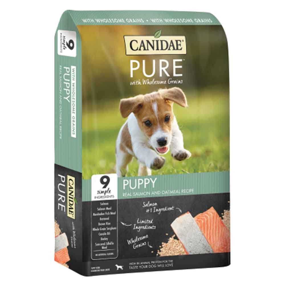 Salmon & Oatmeal Dry Dog Food D813