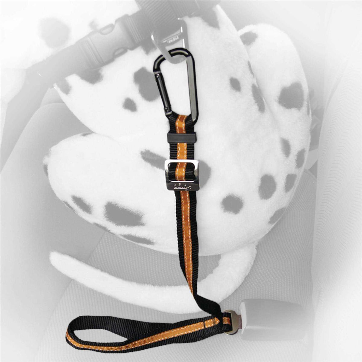 Pet Tether Y843