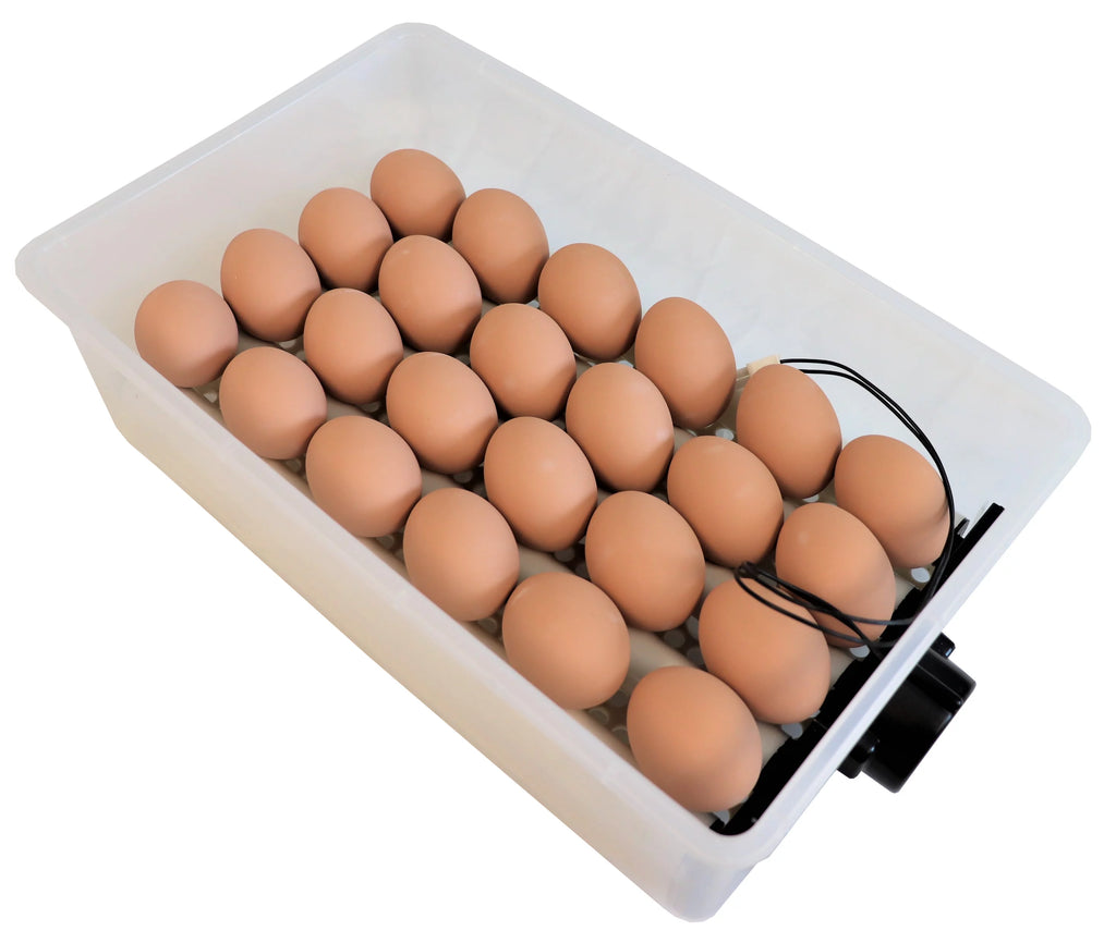24 Chicken Egg Incubator & Hatcher Turner J3952