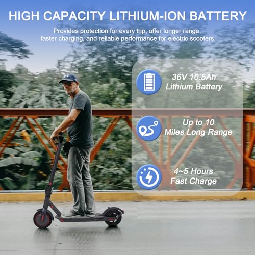 350W Electric Scooter with 8.5" Solid Tires R1588