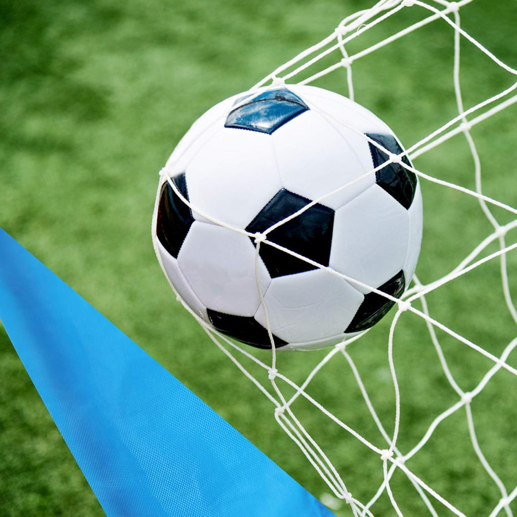 4'x3' Portable Pop Up Soccer Goals with Carry Bag, 2 Pack W419