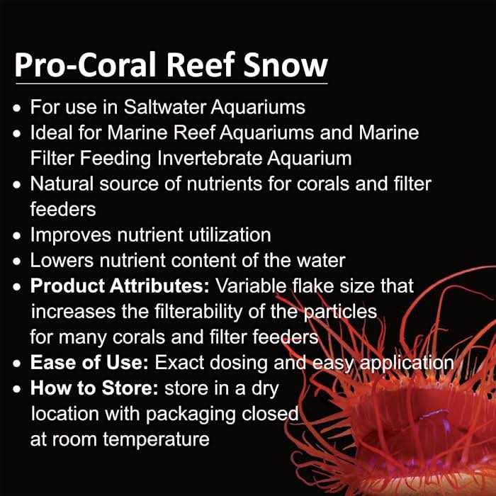 Reef Snow X9385