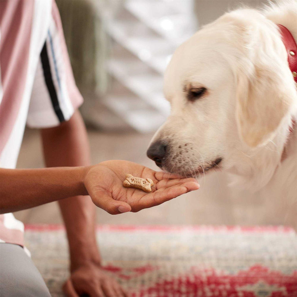 Dog Treats X596