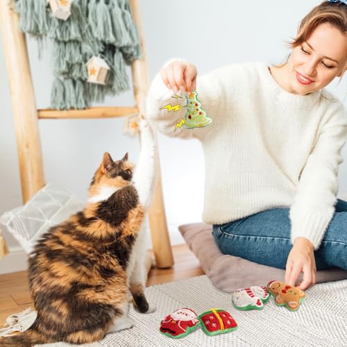 Catnip Cat Toys 5 Pack A45136