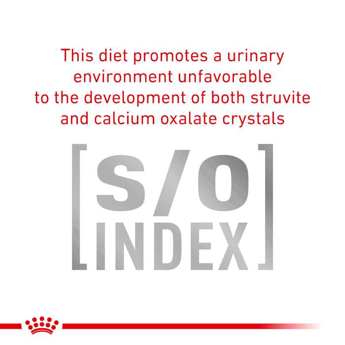 Urinary SO Dog Food H466323