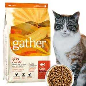 Organic Free-Run Chicken Dry Cat Food L124475