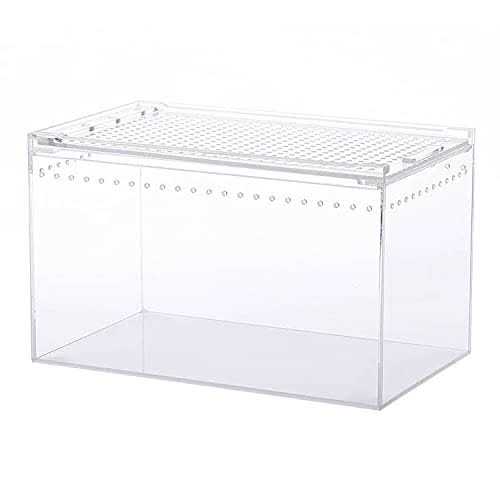 10x6x6 Inch Acrylic Reptile Terrarium Q60035