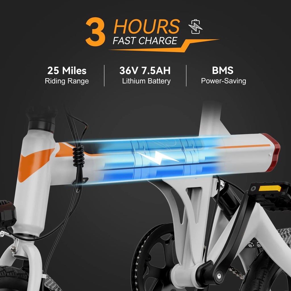 14 Folding Electric Bike with 350W Motor N1452