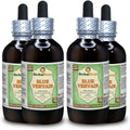 Blue Vervain Organic Dried Above-Ground Parts Alcohol-Free Liquid Extract V47102
