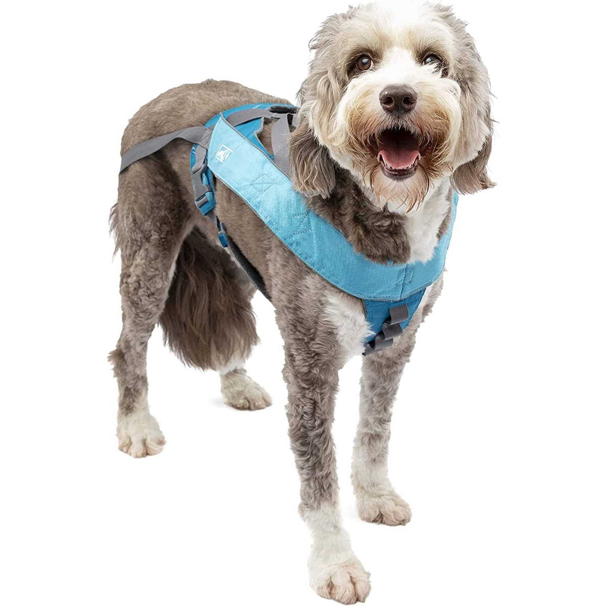 Dog Harness R70196
